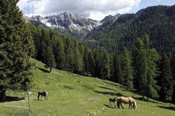 صورة الفندق 15