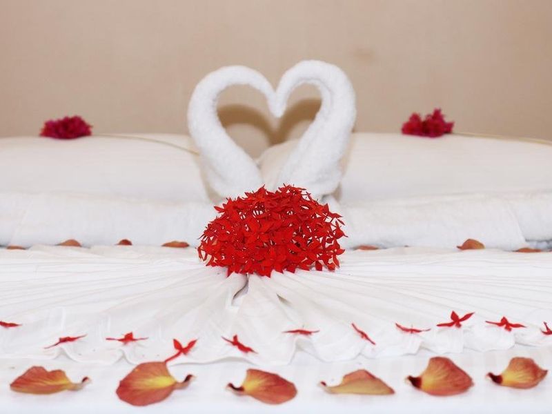 صورة الفندق 6
