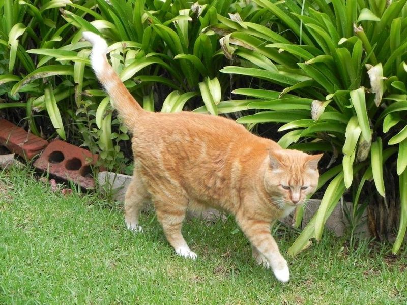 صورة الفندق 3