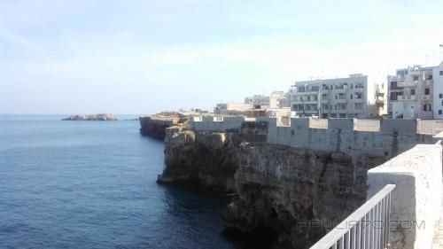 صورة الفندق 22
