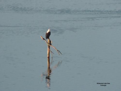 صورة الفندق 10