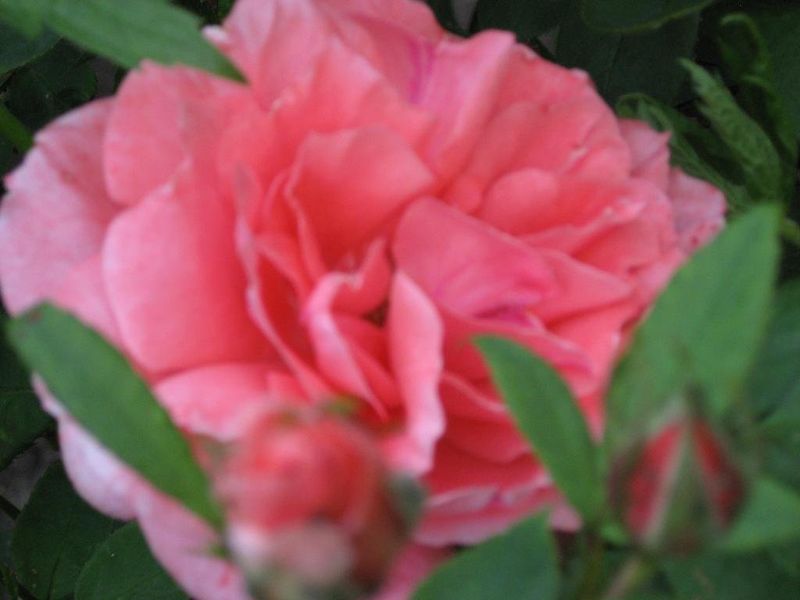 صورة الفندق 11