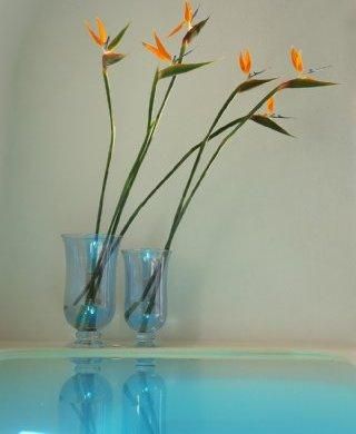 صورة الفندق 14