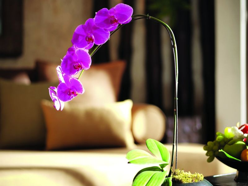 صورة الفندق 12