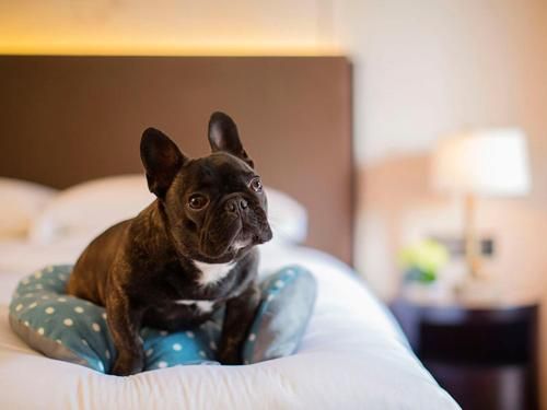 Hotel Photo 17