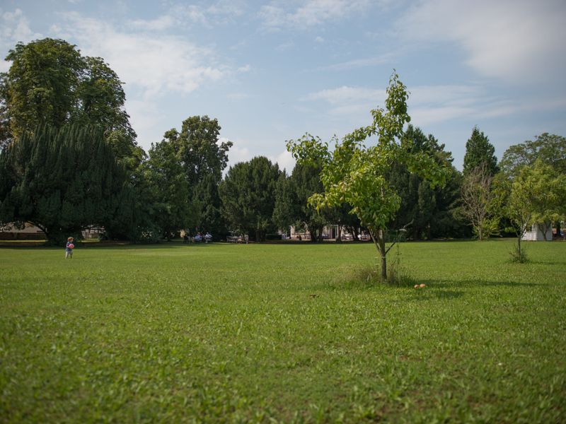 صورة الفندق 22