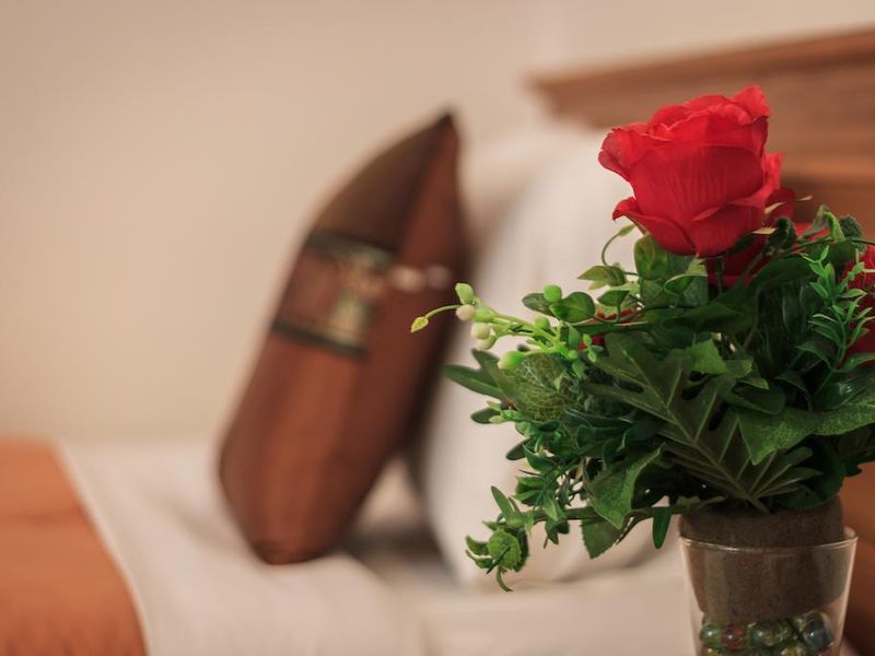 صورة الفندق 16