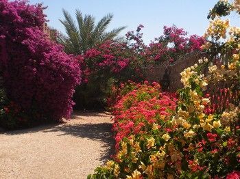 صورة الفندق 20