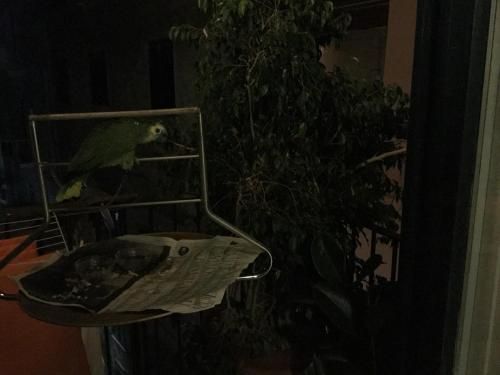 صورة الفندق 21