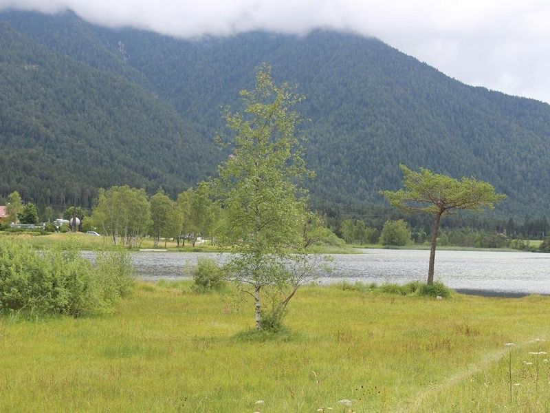 صورة الفندق 4