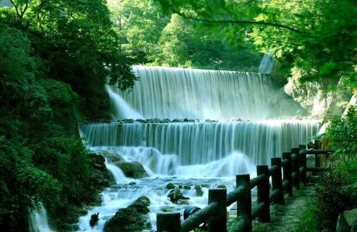 صورة الفندق 21