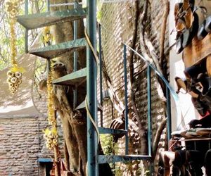 Linas Tango Guesthouse Buenos Aires Argentina