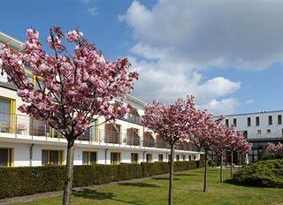 Hotel pic Resort Hotel Vier Jahreszeiten Zingst