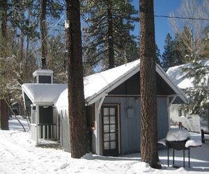 Grey Squirrel Resort Big Bear Lake United States