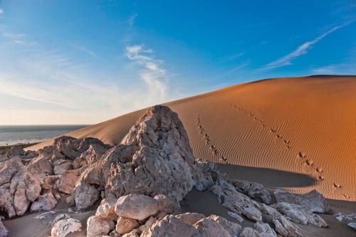 صورة الفندق 15