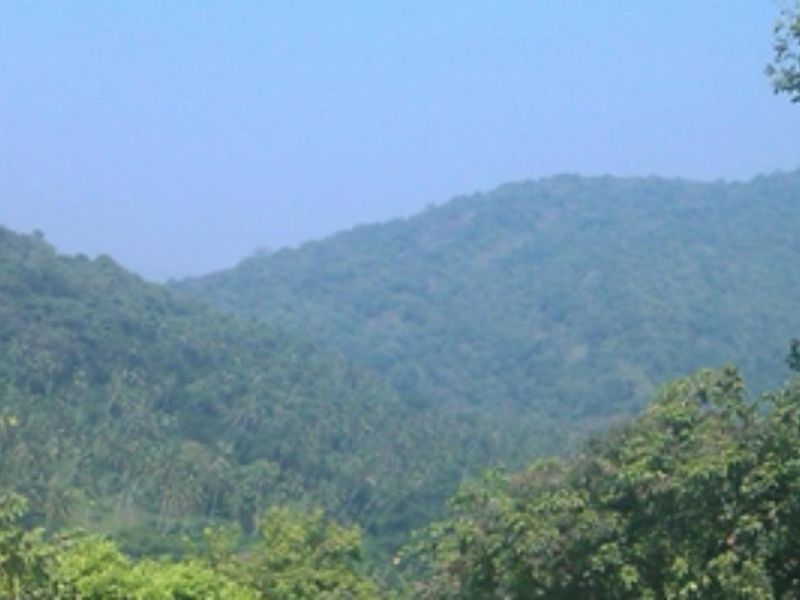 صورة الفندق 18