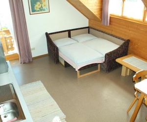 Appartement Pension Grasser Bad Kleinkirchheim Austria