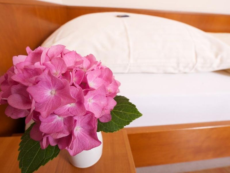 صورة الفندق 19
