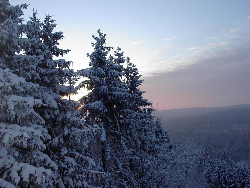 صورة الفندق 21