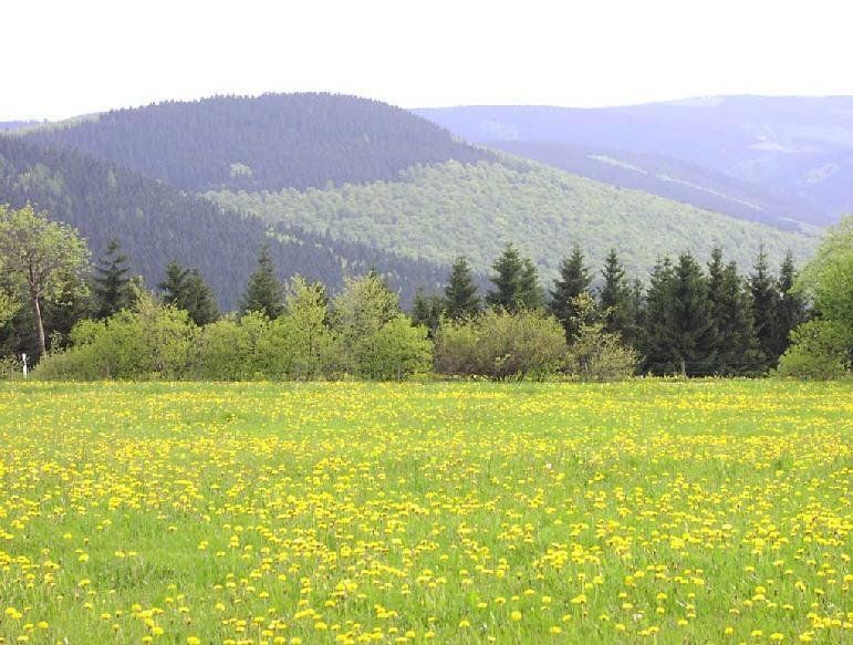 صورة الفندق 9