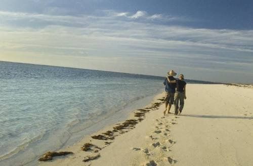 صورة الفندق 22