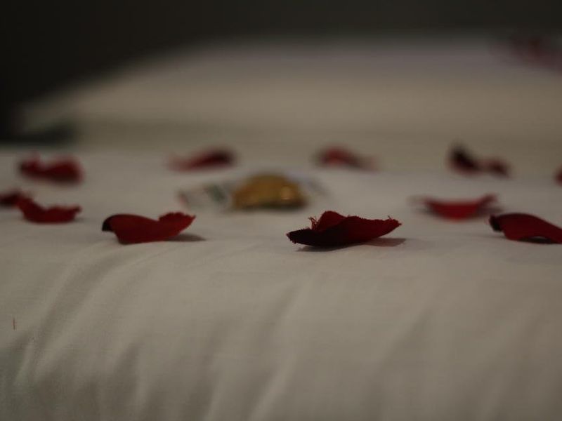 صورة الفندق 20