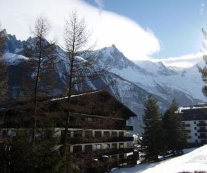 Studio Les Drus / Studio du Brévent Chamonix France