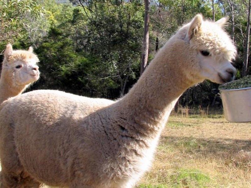 صورة الفندق 9