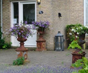 B&B De Koog Texel De Koog Netherlands