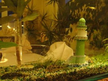 صورة الفندق 20