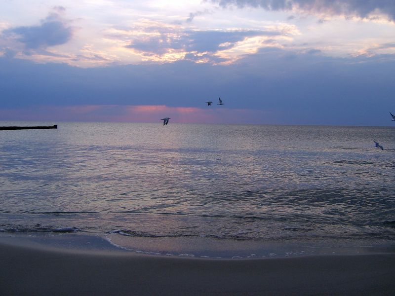 صورة الفندق 21