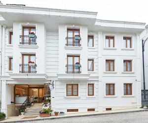 Albinas Hotel Old City Istanbul Turkey