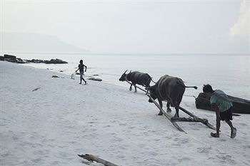 صورة الفندق 17