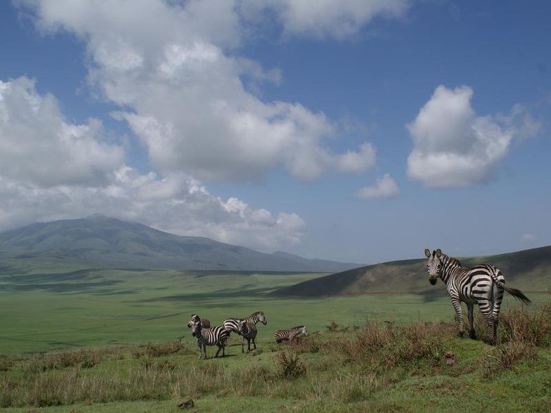 صورة الفندق 12