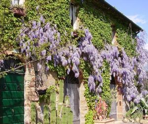 Agriturismo La Leccia Bibbona Italy