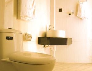 Guraidhoo Palm Inn Maafushi Island Maldives