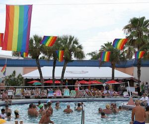 Flamingo Resort - Gay Resort St. Pete Beach United States
