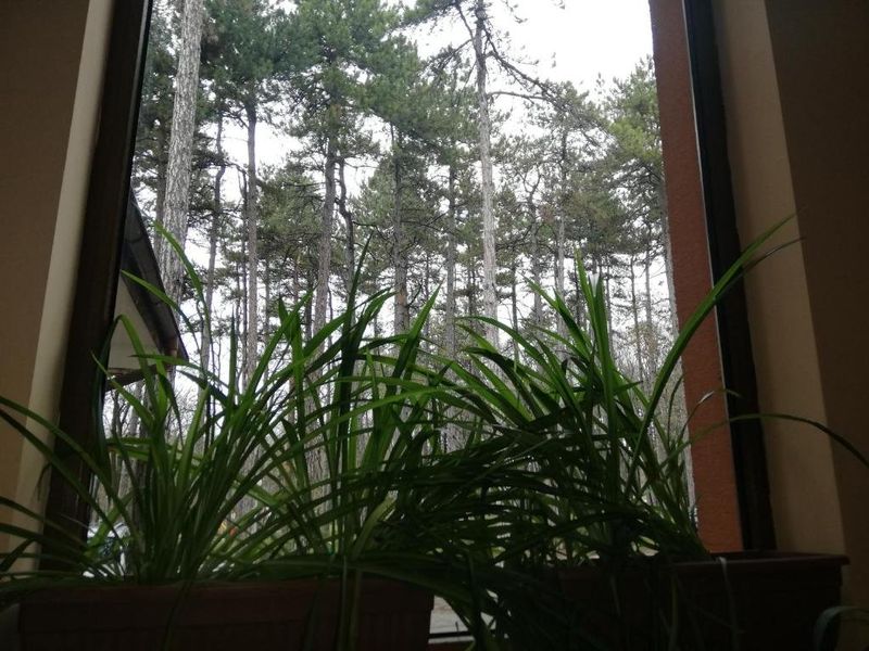 صورة الفندق 9