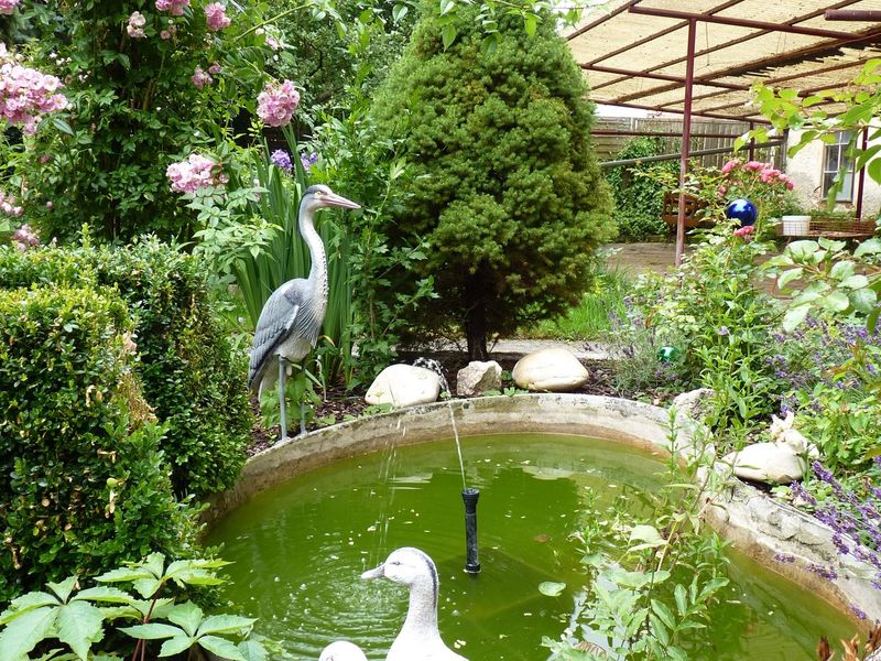 صورة الفندق 22
