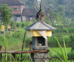 Swallow Guesthouse Gianyar Indonesia