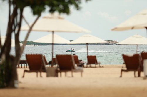 صورة الفندق 24