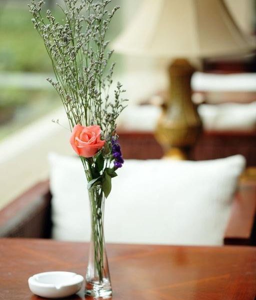 صورة الفندق 13