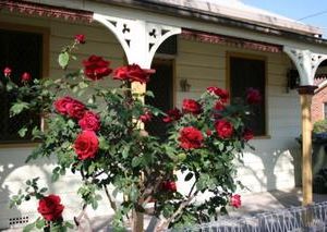 A Settlers Cottage Accommodation Bathurst CBD Bathurst Australia