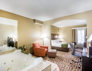 Comfort Inn and Suites Manheim Manheim United States