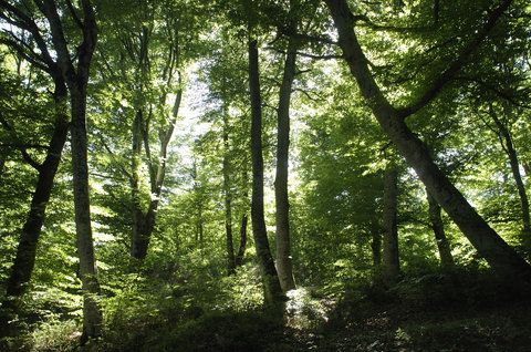 صورة الفندق 15