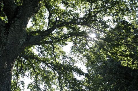 صورة الفندق 16