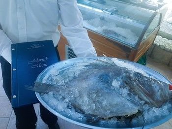 صورة الفندق 12