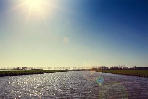 صورة الفندق 15