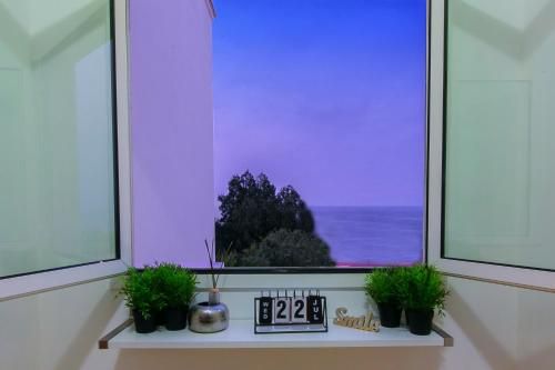 صورة الفندق 18