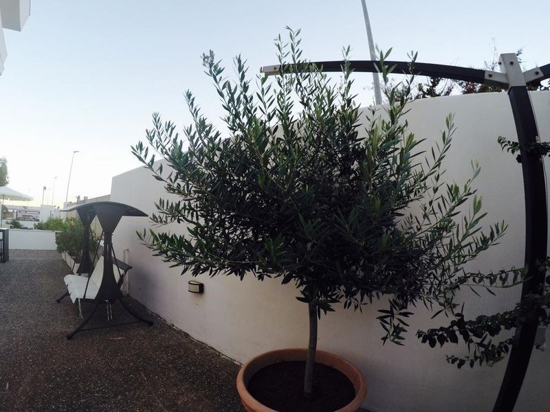 صورة الفندق 20